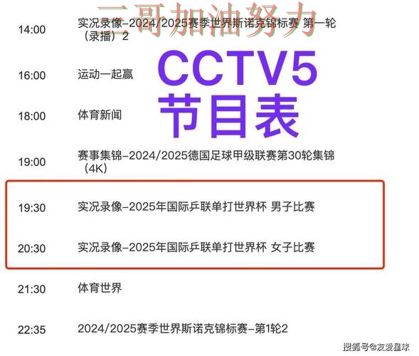 世界杯买球平台揭秘合集：覆盖用户反馈+直播与入口方式 - 世界杯直播